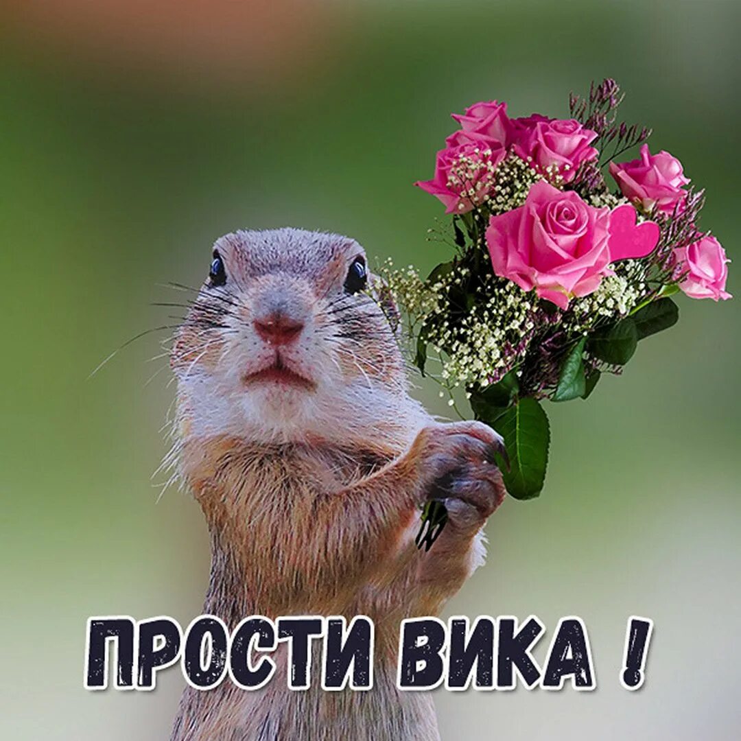 Извини сюда. Извините меня пожалуйста. Извините позязя. Извинения девушке. Ну прости если обидела!.