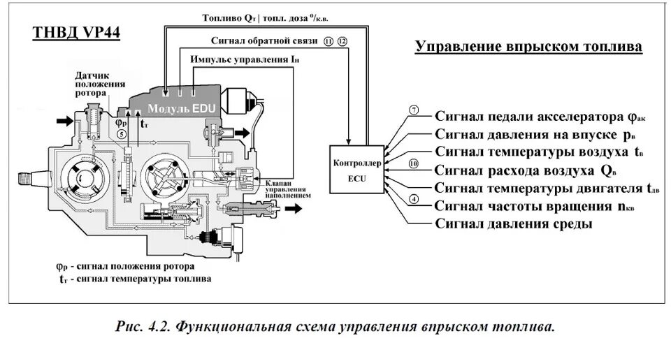 Ошибка по тнвд. Тнвд bosch vp30 схема. схема топливного насоса vp44. схема тнвд бош vp44. схема управления тнвд vp44.