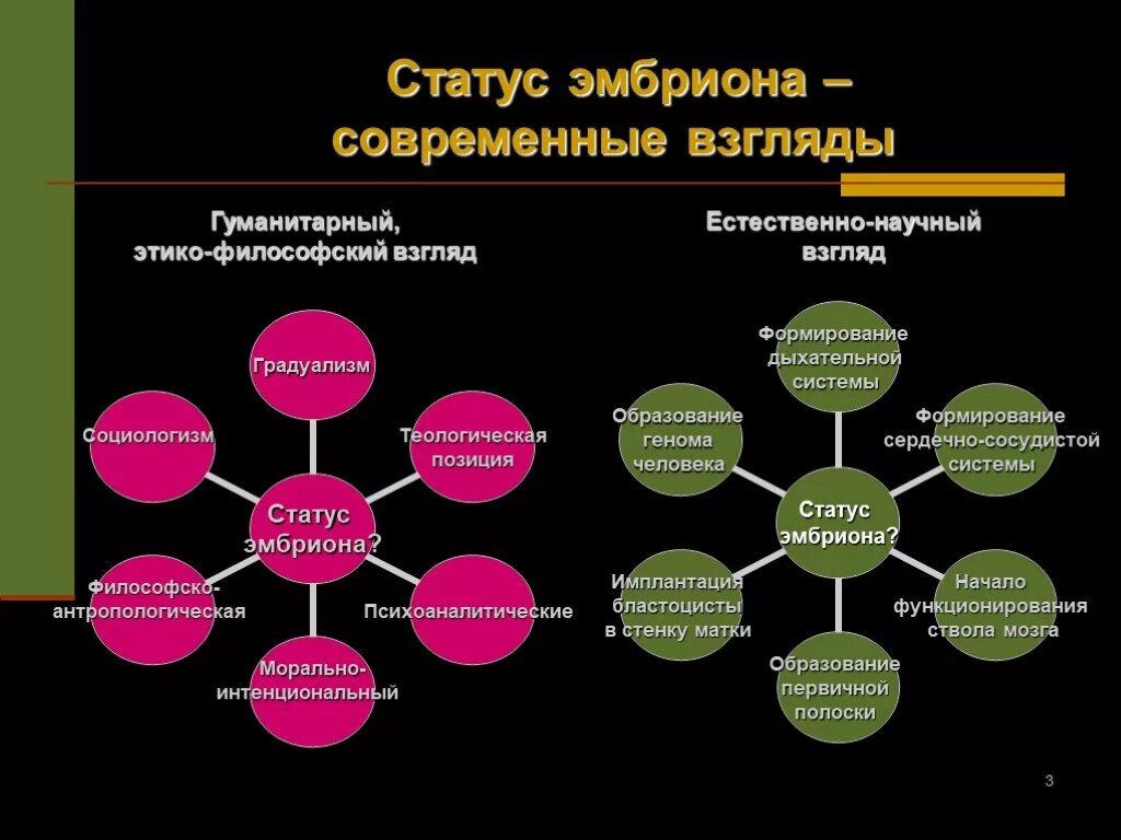 Проблемы современных естественных наук. Проблема морального статуса эмбриона. Статус эмбриона. Статус эмбриона современные взгляды. Подходы и гипотезы относительно статуса человеческого эмбриона.