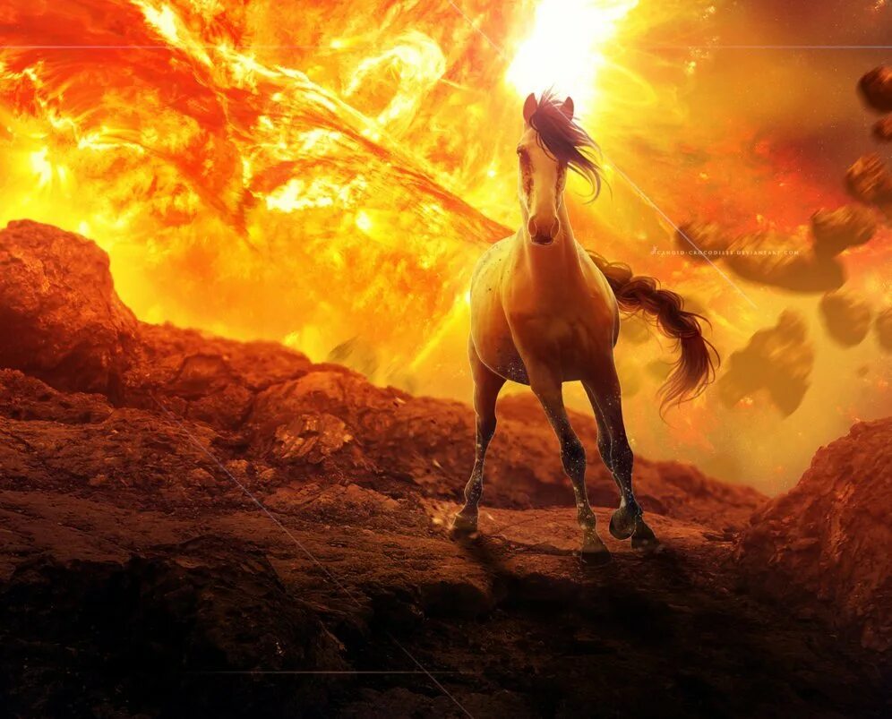 казак на закате. лошадь и солнце. лошади на закате. фон лошадь в поле. солнечная лошадь.