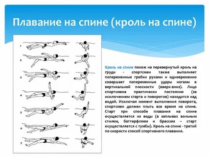 Виды плавания кроль брасс
