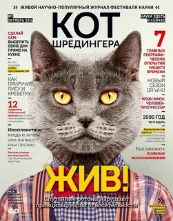 Кот шредингера живой