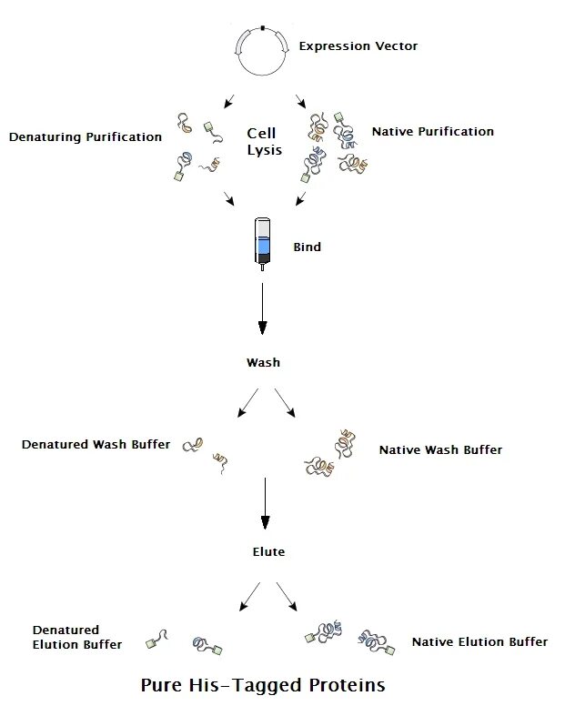 Wash buffer