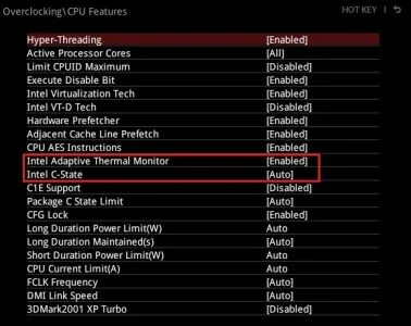 Cpu features