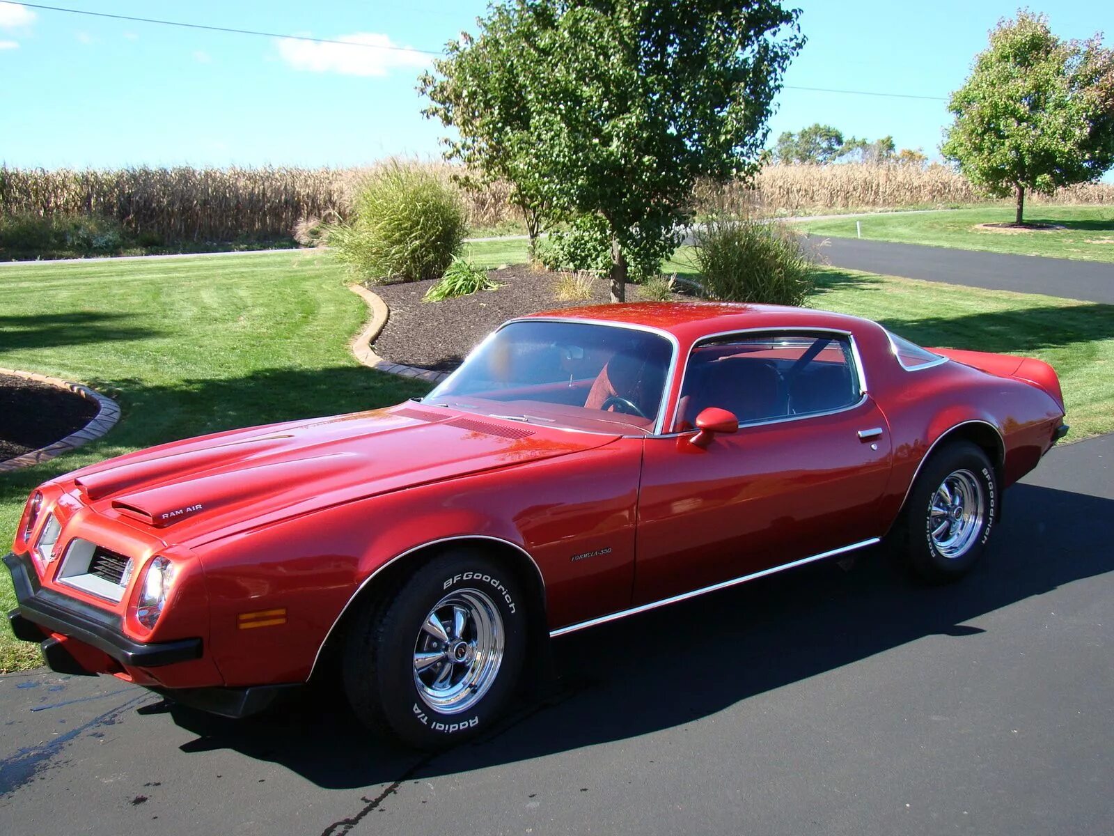 Firebird