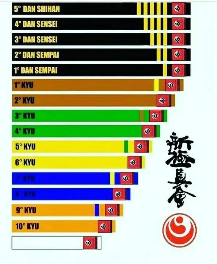 кю желтый пояс киокушинкай. пояса шинкиокушинкай каратэ. кю в карате кекусинкай. пояса по карате по порядку киокушинкай. сколько данов в каратэ киокушинкай.