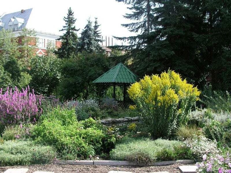 уральский сад. растения урала урала. кумардак гора. сады южного урала. кумардак.