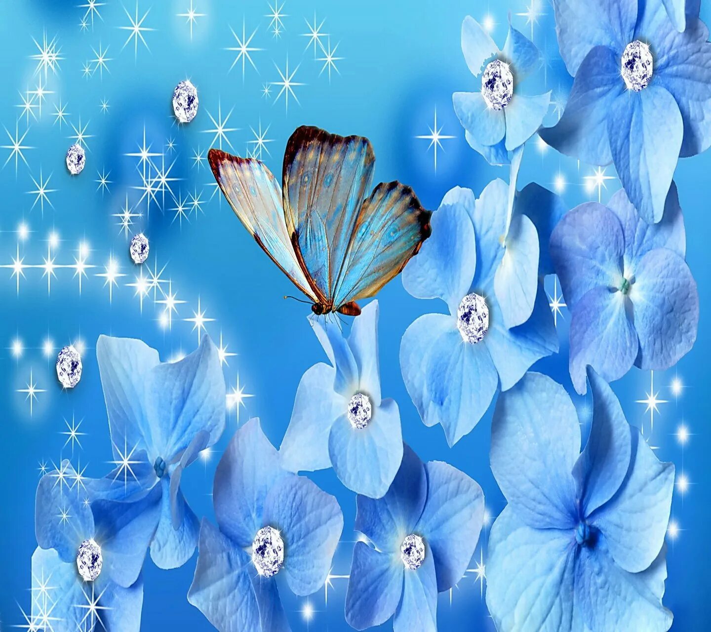 Голубые цветы. Цветочек голубой. Красивые цветы и бабочки. Бабочка на цветке. Красивые открытки бабочками