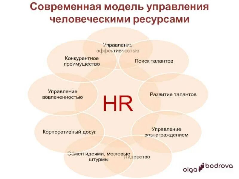 Модели управления человеческими ресурсами. Направления работы HR. Современная модель управления человеческими ресурсами. Концепция управления человеческими ресурсами. Модели современной деятельности