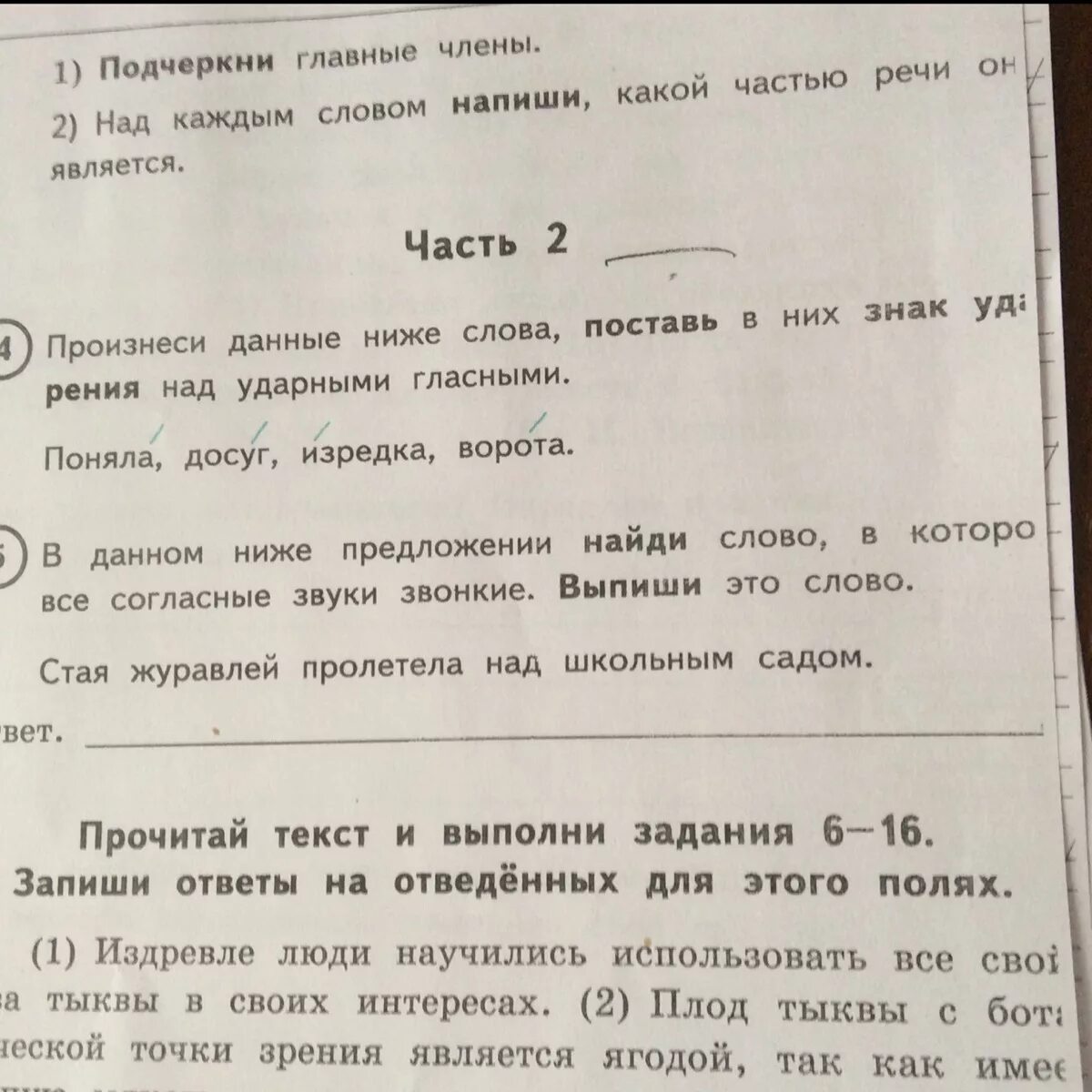 Впр тыква 4 класс. Впр про тыкву. стая журавлей пролетела над школьным садом впр. предложение со словом стая. издавна люди научились использовать все свойства тыквы.