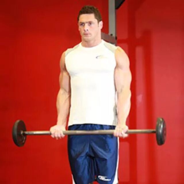 Barbell curl