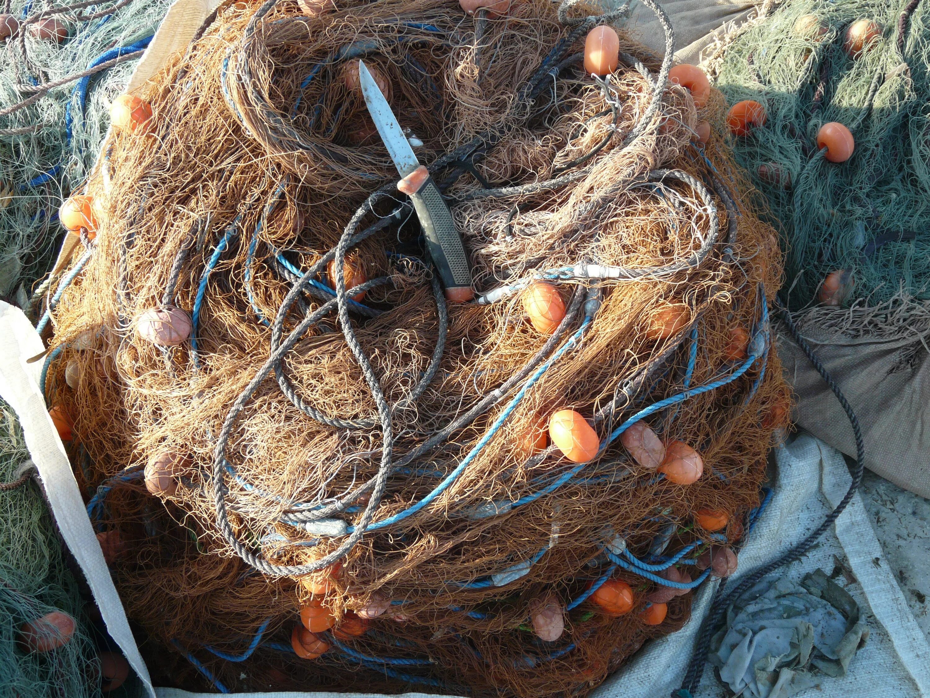 Сети самодельные. Невод 110 метров. Сети рыболовные пиксабай. Сплавная сеть. Рыба в сети.
