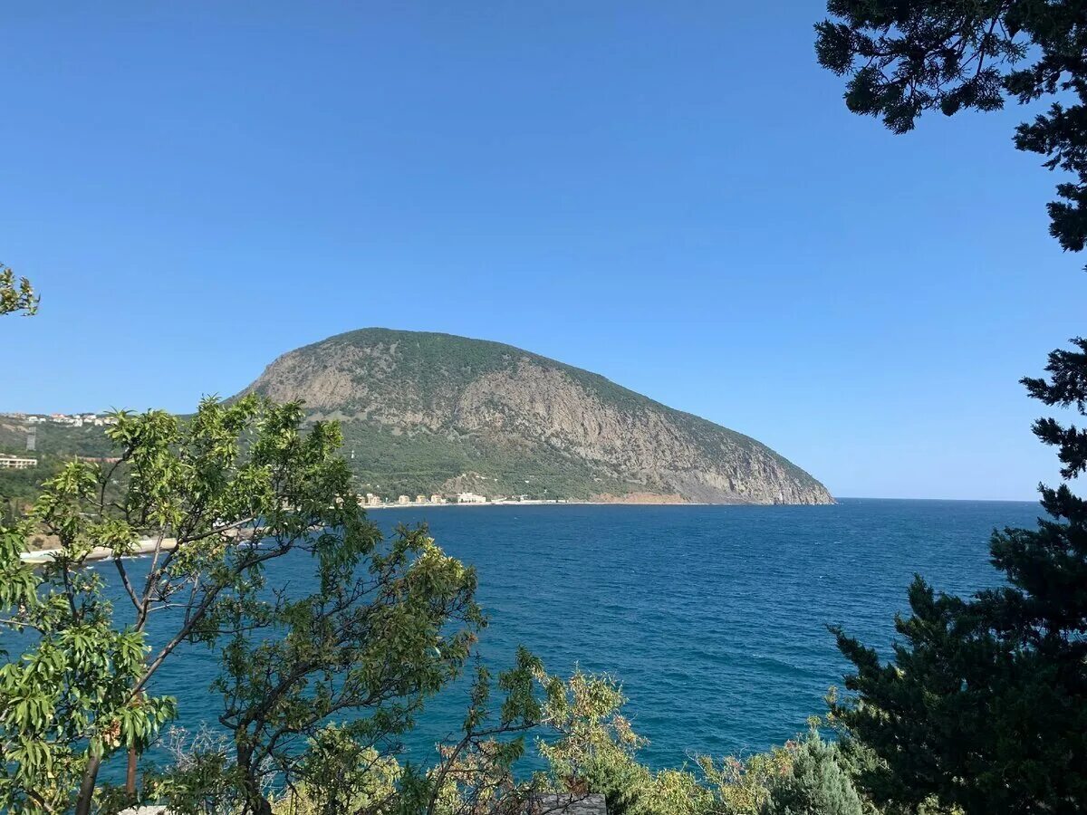 Медведь гора партенит. Медведь гора в крыму 5. Медведь гора в крыму артек. Ялта медведь гора. Медведь гора в крыму артек.