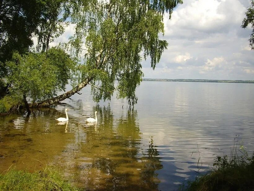 Максимальная глубина виштенец. Виштынецкое озеро Калининградская область. Калининград озеро Виштынец. Виштынецкое озеро Калининград. Калининградская область озеро выштенецк.