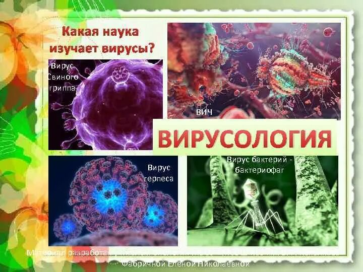 Наука изучающая вирусы. Вирусология это наука. Что изучает вирусология. Какая наука изучает вирусы. Вирусология это в биологии.