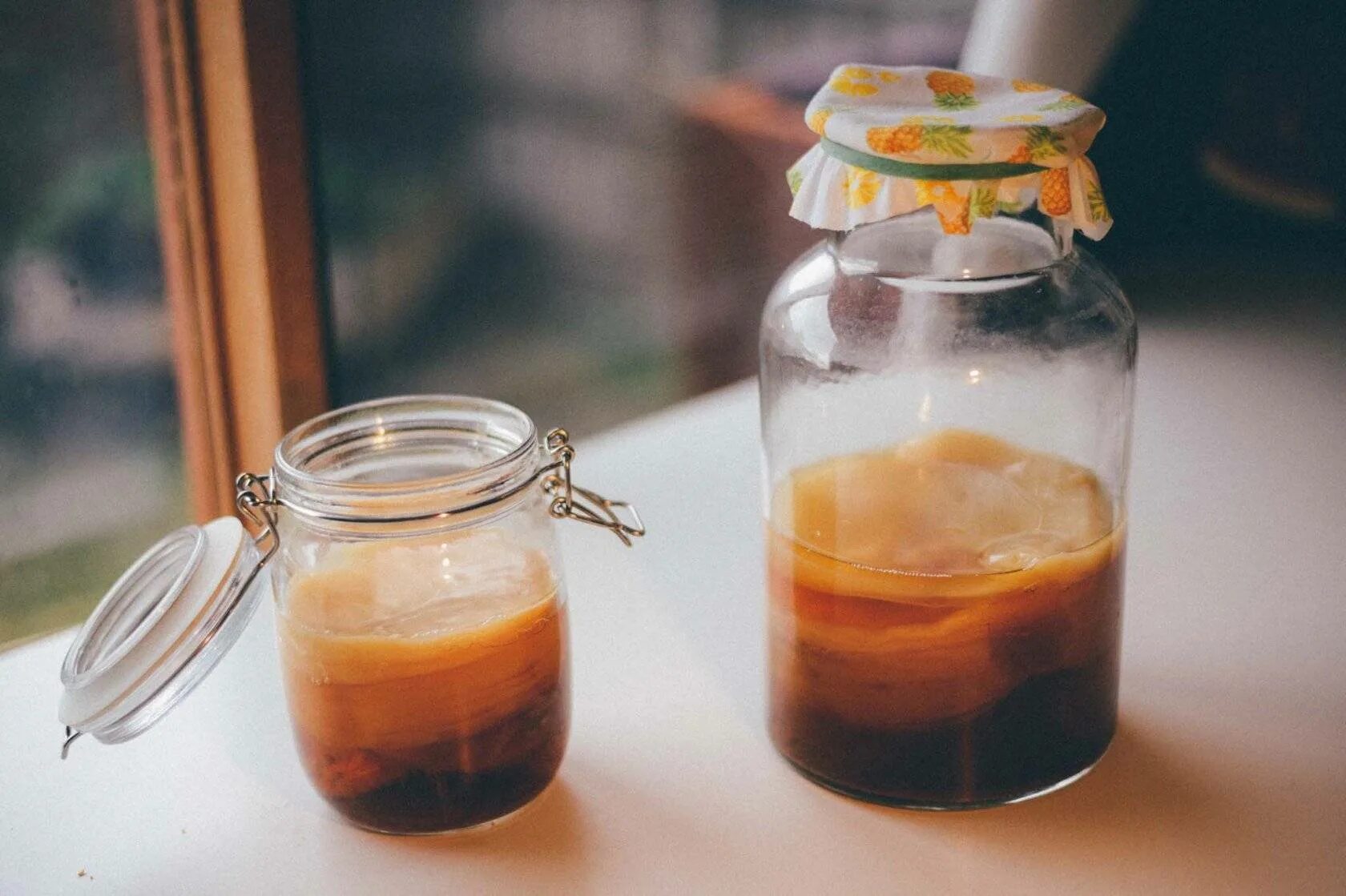 Живой чайный гриб комбуча. Чайный гриб или комбуча. Чайный гриб комбуча мем. Ферментация чайного гриба. Комбуча польза.