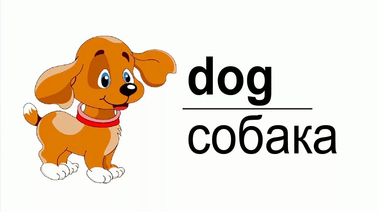 Прочитайте слова dog. Dog для детей на английском. Dog английский карточки для детей. Карточка собака на английском языке. Карточки по английскому языку щенок.