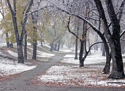 И б первый снег