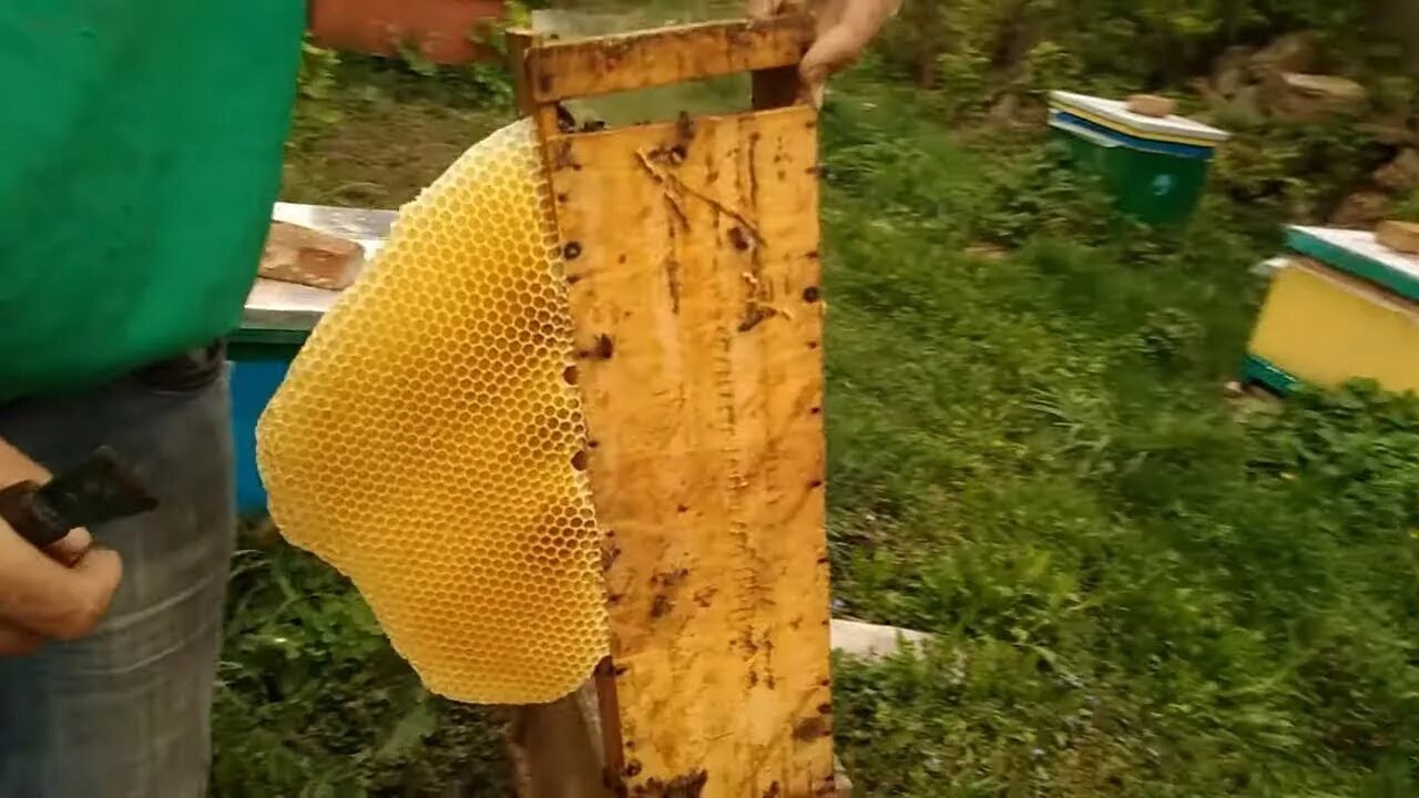 Когда подставлять вощину пчелам