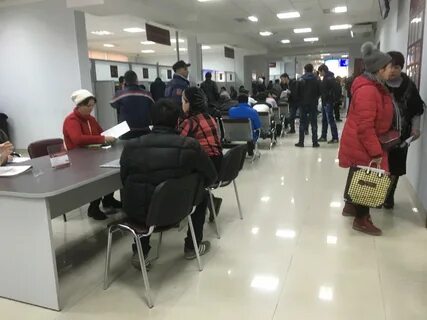 Миграционный новосибирск