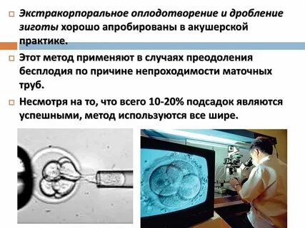 Оплодотворение шприцом