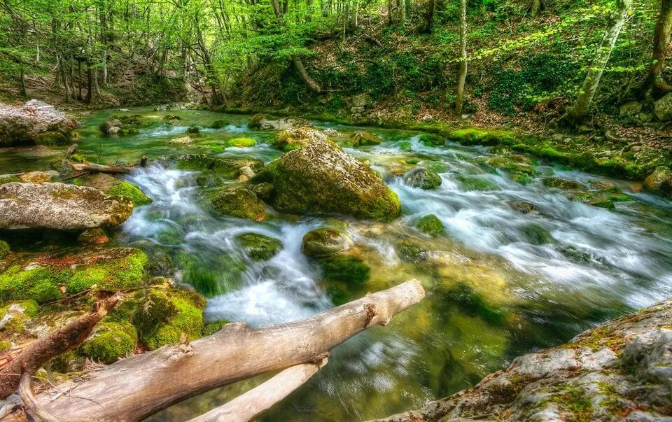 Крымские реки и озера. Река Коккозка в Крыму. Горные речки Крыма. Горная река Альма. Река Тавельчук Крым.