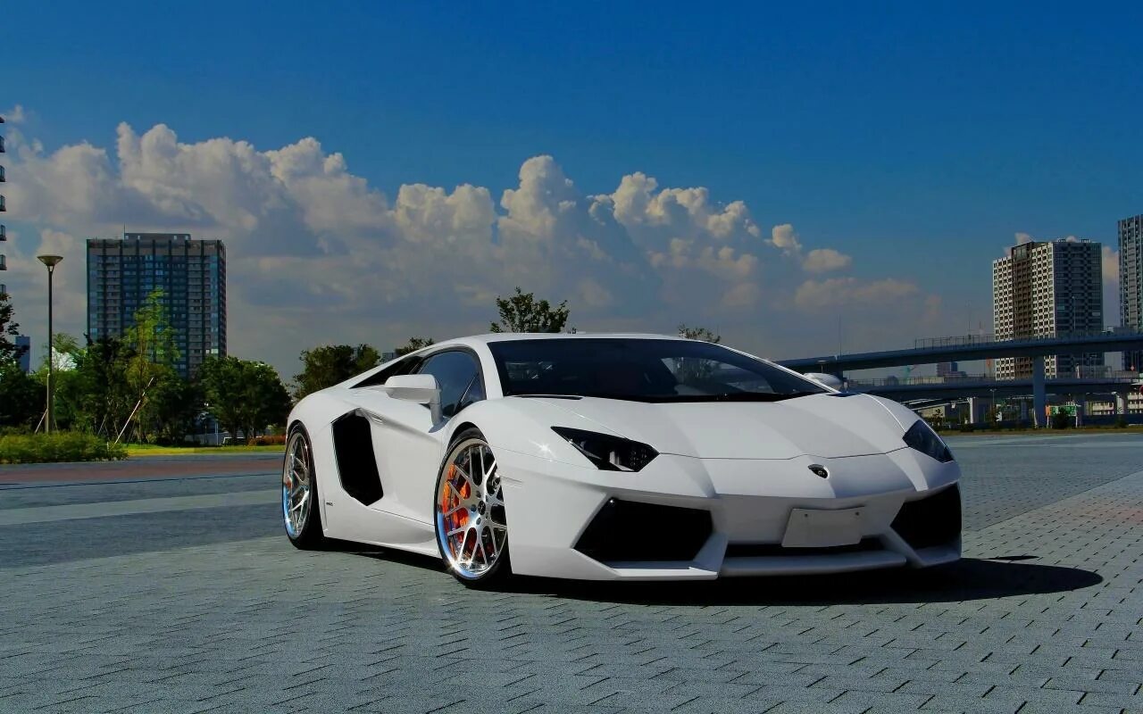 Live car. Live car