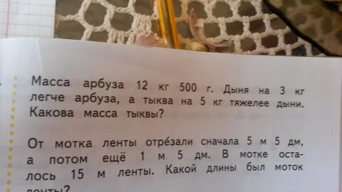 Какова масса дыни