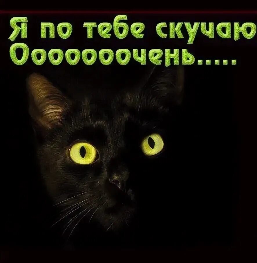 Гиф картинки скучаю. Скучаю открытки анимация. Открытки для любимого мужчины. Люблю скучаю. Скучаю по тебе.