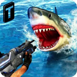 Play sharks