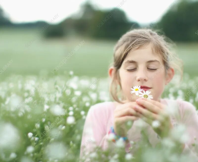 Why you smell this flower