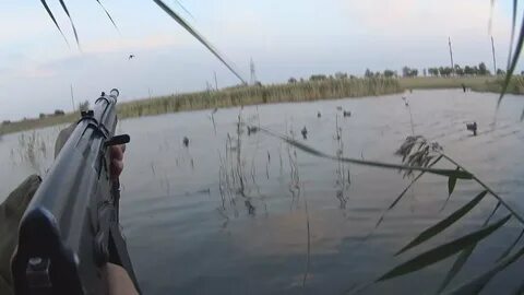 Открытие охоты на водоплавающую дичь алтайский край