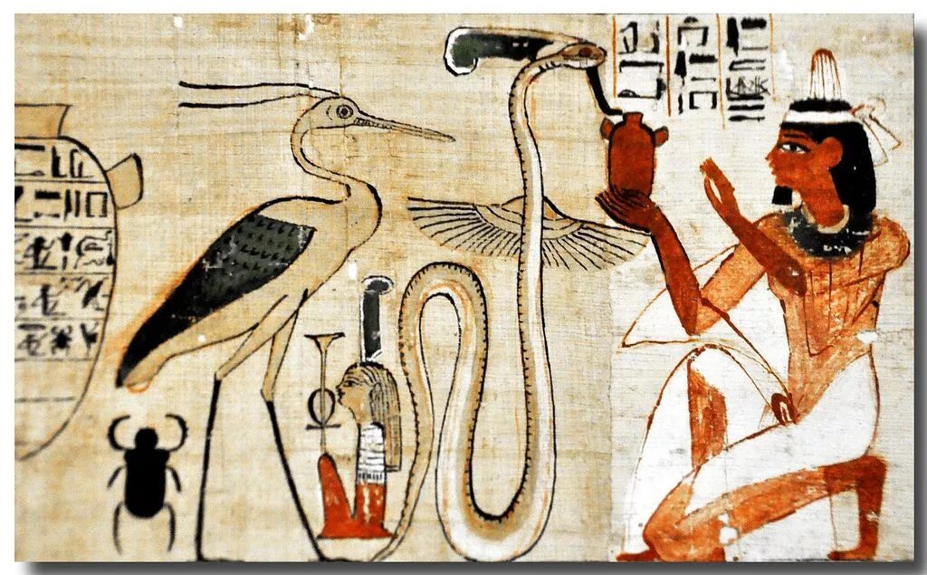 Жук обожествляемый египтянами. Культ животных в древнем Египте. Древний Египет культ жи. Искусство древнего Египта Папирус. Культ поклонения животным в древнем Египте.