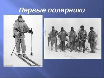 Рассказ какие они полярники