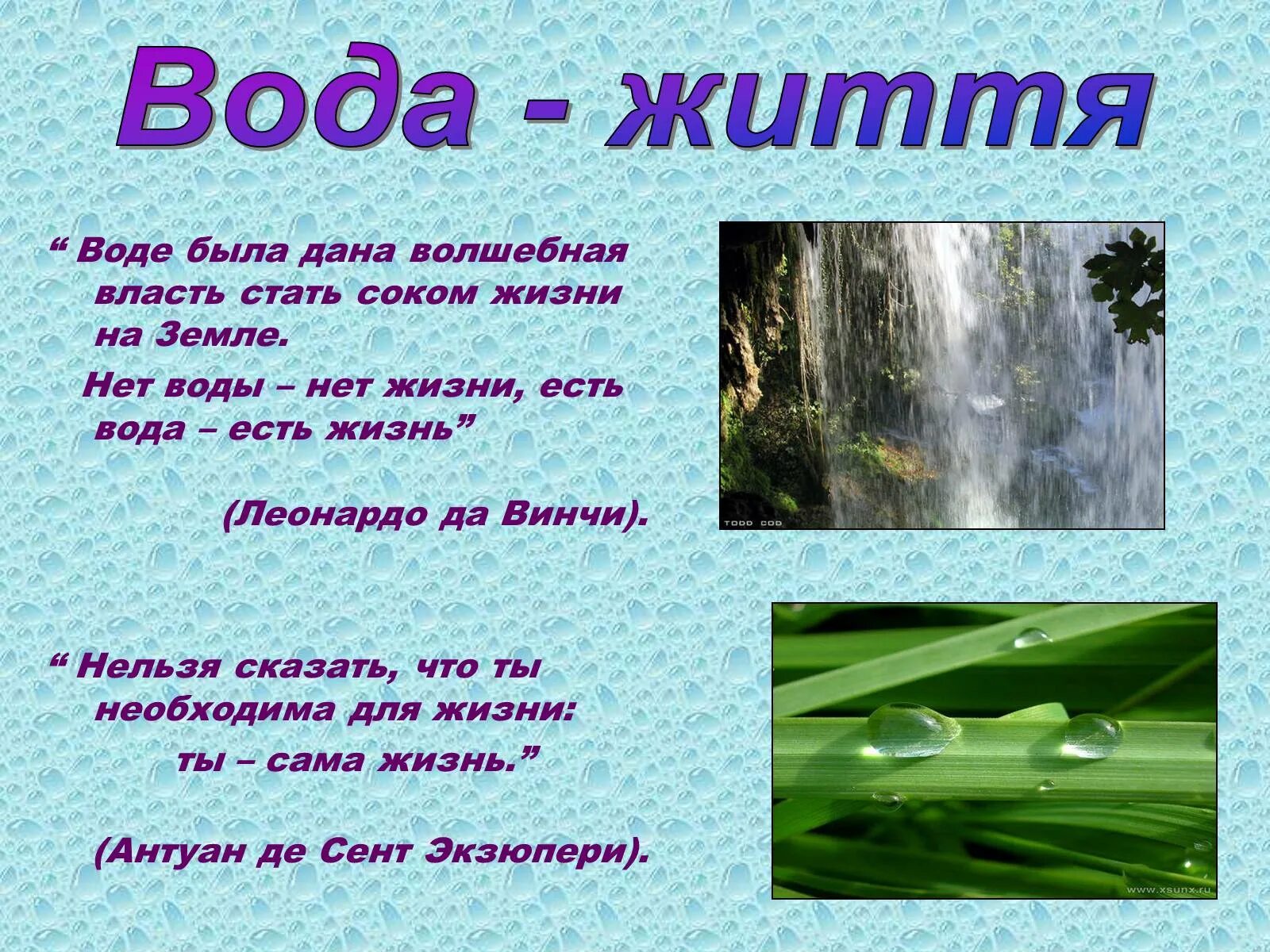 Где есть вода. Цитата на тему вода. Воде была дана Волшебная власть стать соком жизни на земле. Вода и есть жизнь. Высказывание про воду и жизнь.