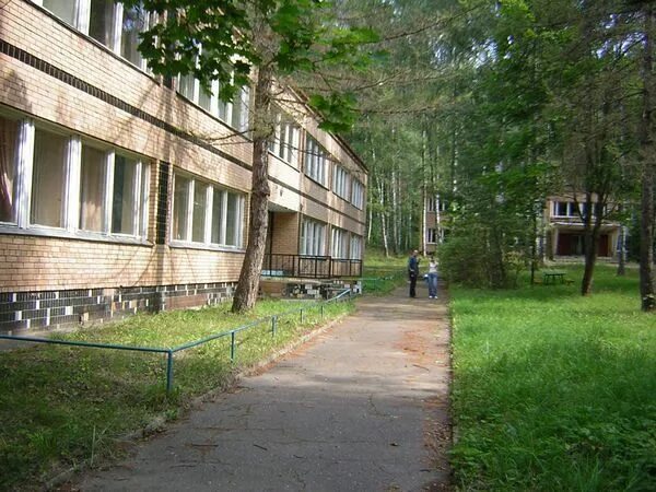 Лагерь березка фруктовая. Лагерь березки оренбург. Пионерский лагерь березка московская область. Пионерский лагерь березка новосибирск. Детский лагерь березка в подмосковье.