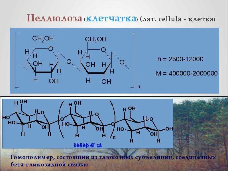 Свойства и функции структурных полисахаридов. Полисахариды биохимия формула. строение полисахаридов. химическое строение полисахаридов. полисахариды строение молекул.