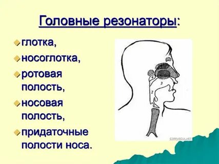 Головной значение