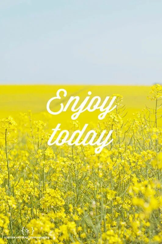 Today is перевести на русский. Enjoy today. enjoy today открытка. заставка на телефон enjoy today. enjoy today перевод.