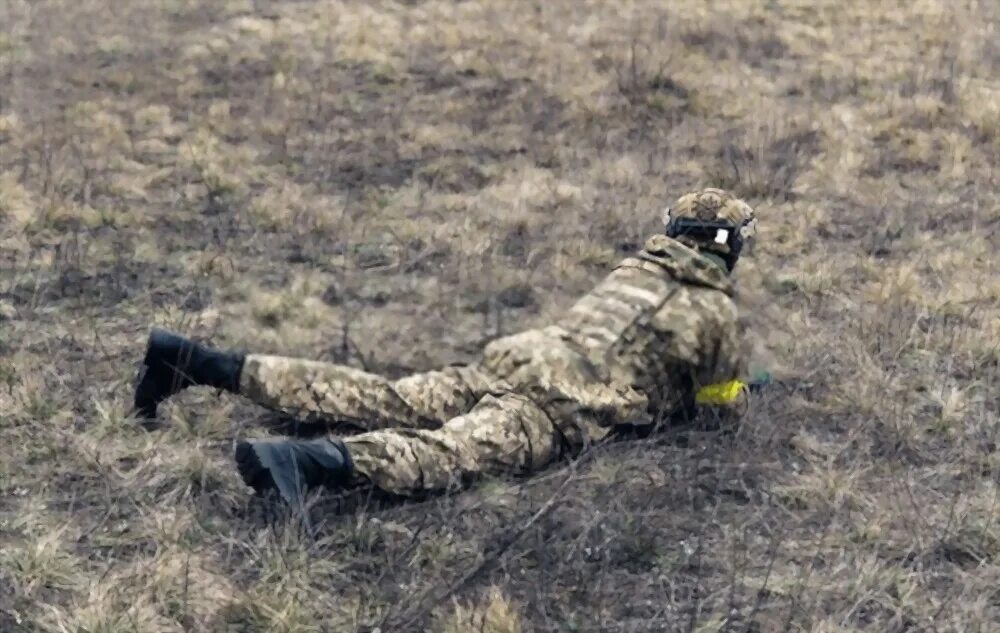 Трупы диверсантов в Белгородской области. Трупы украинских диверсантов. Трупы украинских диверсантов в Белгородской области. Диверсанты в белгородской области сегодня