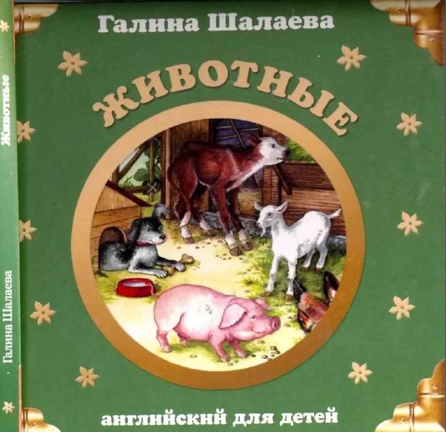 Книги галины шалаевой