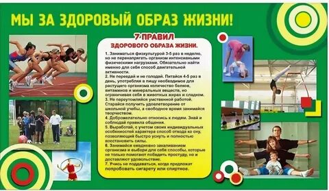 Рабочая программа здорового образа жизни