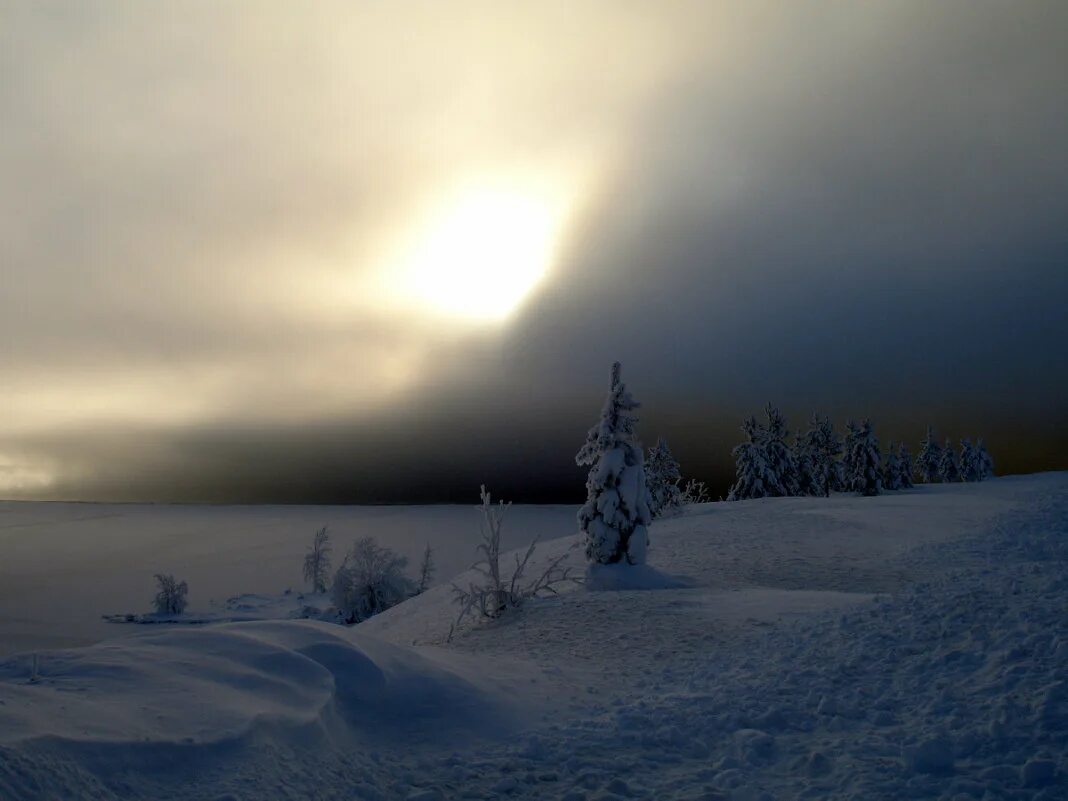 Снежный туман. Зимней мглою. Снежная мгла. Буря мглою. Зима туман.