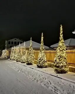 Парк лога зимой