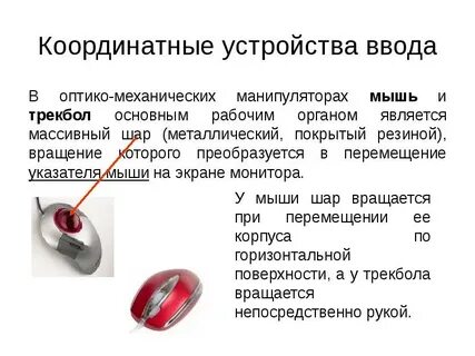 Устройства ввода тест