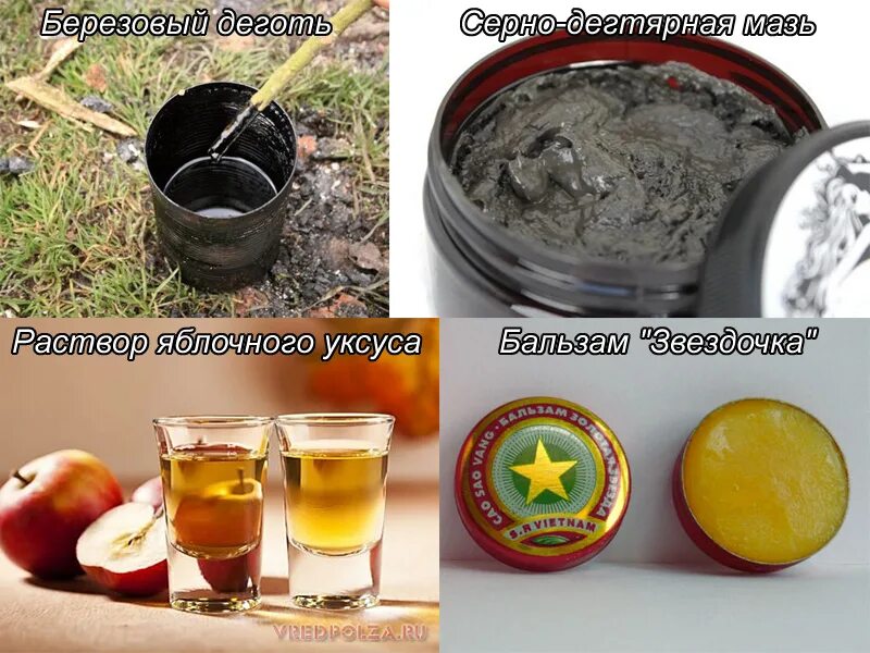 Чесотка лечение препараты для человека. Средство от чесотки. Чистотел от чесотки. Народный метод от чесотки. Лечим чесотку народными средствами.