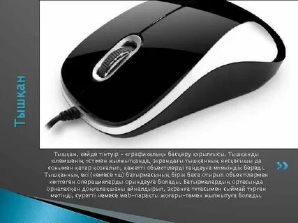 Ерлерге қандай қынаптар ұнайды?