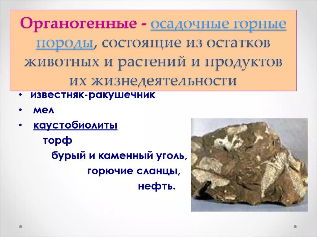 Нефть относится к осадочным горным породам. Органогенные горные породы. Органогенные осадочные породы. Органогенные осадочные горные породы. Биогенные осадочные горные породы.