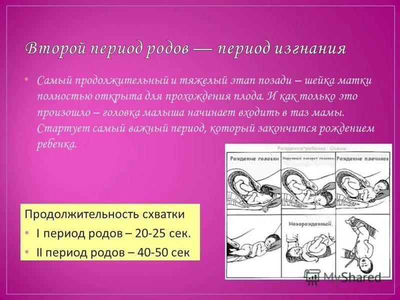 Фазы 3 периода родов. Периоды родов их Продолжительность. Определение второго периода родов. Продолжительность 3 перевода родов.