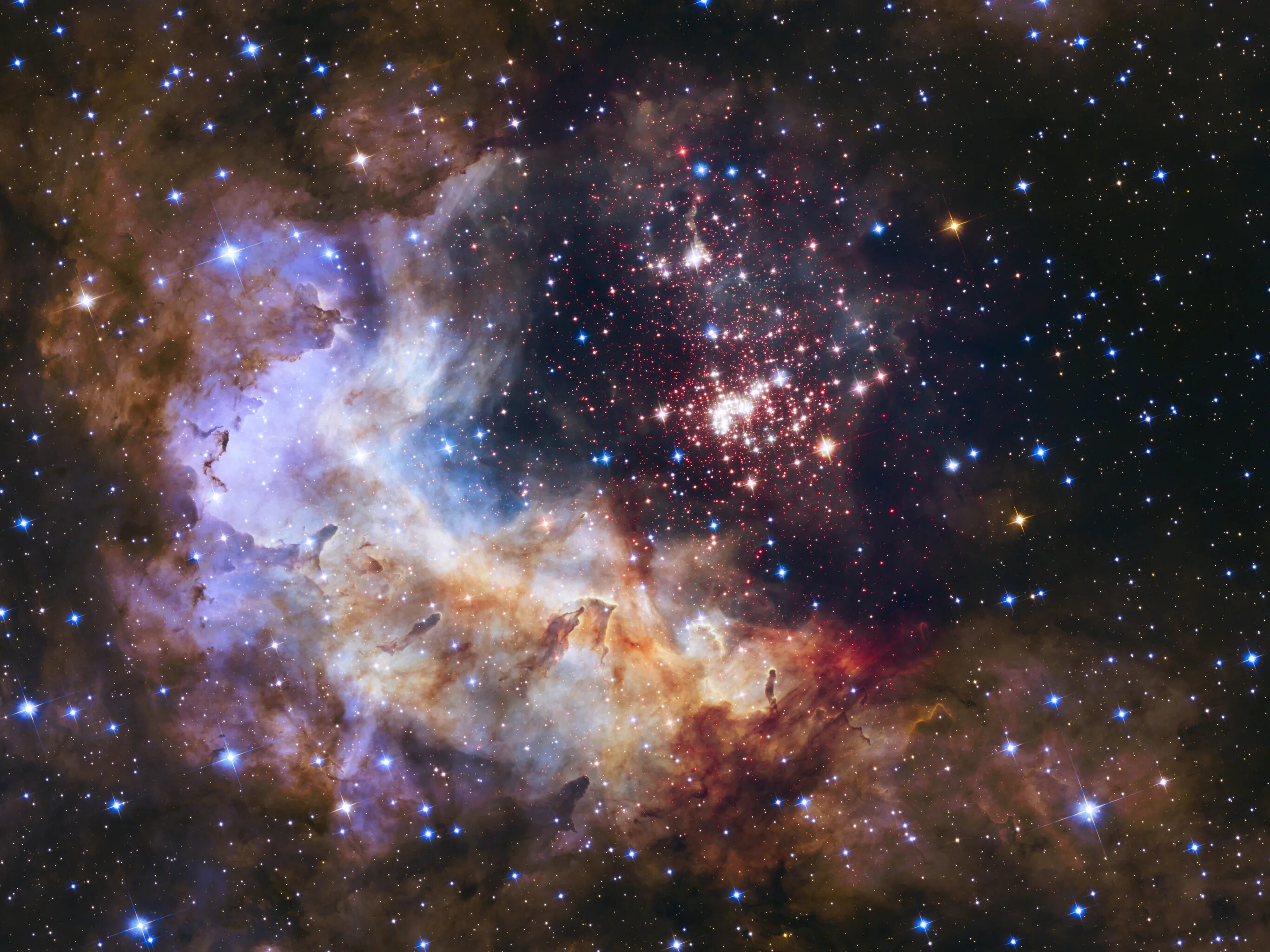 Stars take me